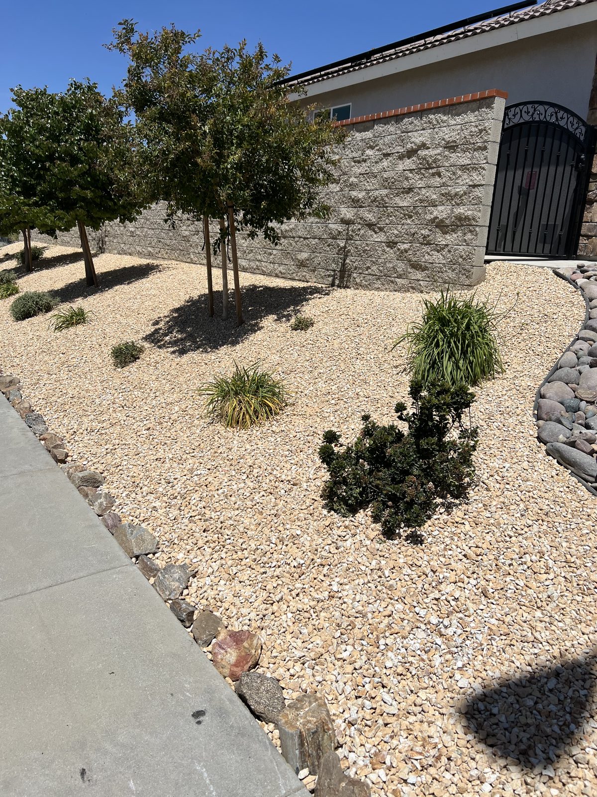 Low-water landscape with gravel and trees