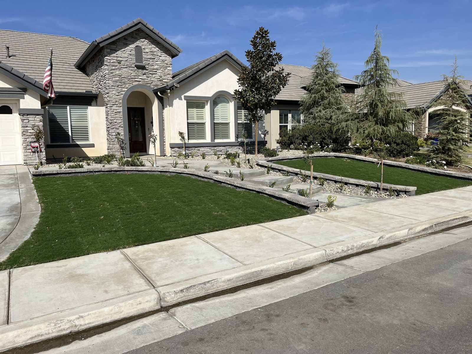 Front yard with new lawn, curbing, and young plantings