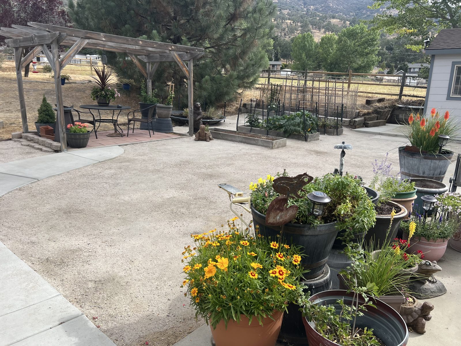 Garden patio with pergola and planted borders