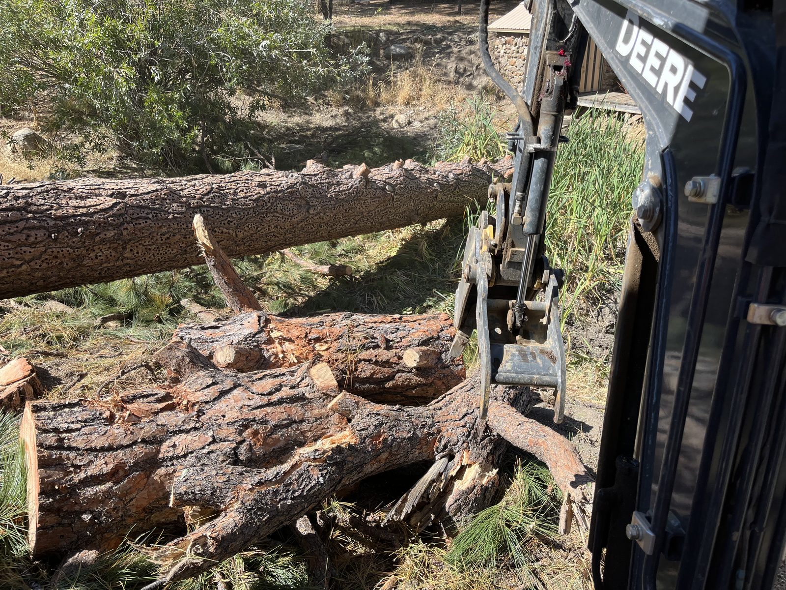 Tree removal with heavy equipment